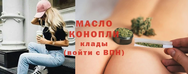 твердый Богородицк