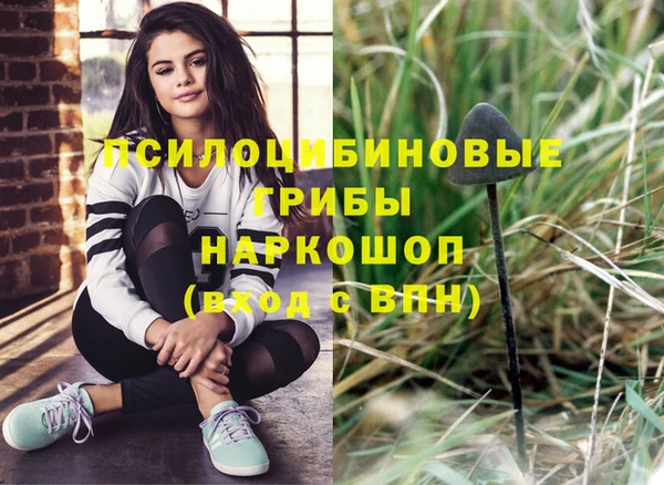 твердый Богородицк